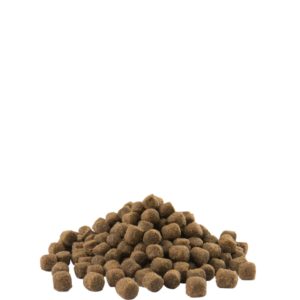 Adult Digestion Mini Agnello 2,5 Kg.