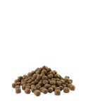 Adult Mini 2,5kg