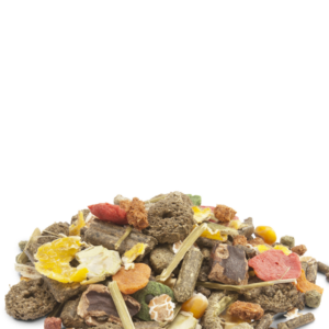 Versele-Laga Crispy Muesli Coniglietti 1kg