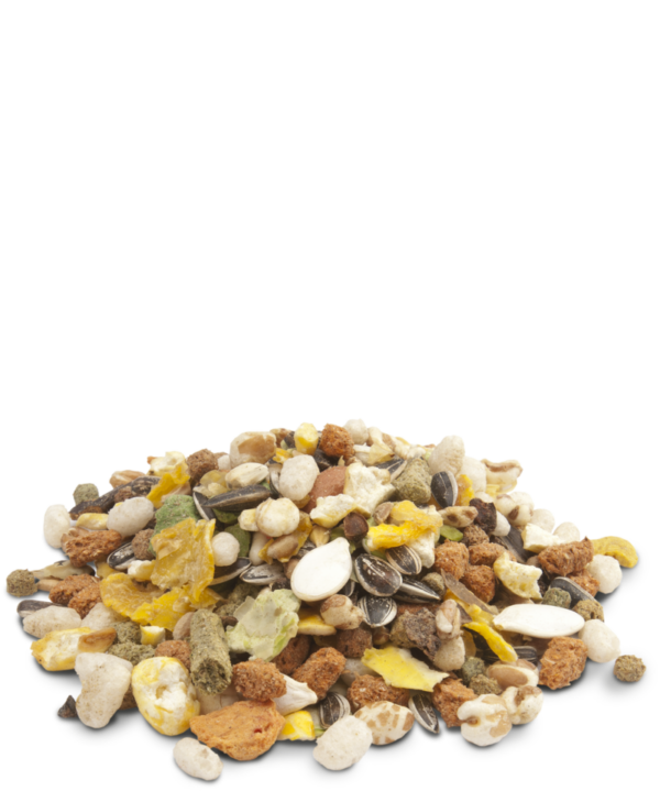 VERSELE-LAGA Crispy Muesli - Hamster&Co 1kg - immagine 2