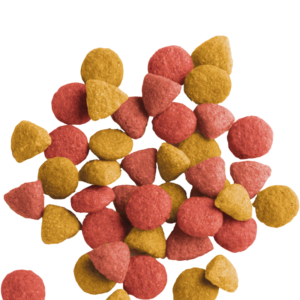 VERSELE-LAGA LARA ADULT STERILIZED 10KG