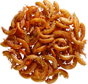 EkoFish Gamberetti Gammarus 100%  1300ml/130gr