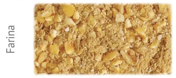 Galtieri Mangime per galline ovaiole 10kg - immagine 2