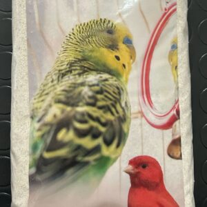 Sabbia Igienica per Uccelli  2kg