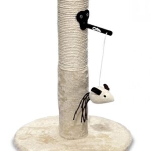 Accessori Gatto