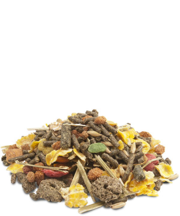 VERSELE LAGA Crispy Muesli Guinea Pigs Cavie 1Kg - immagine 2