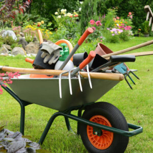 Articoli da Giardino