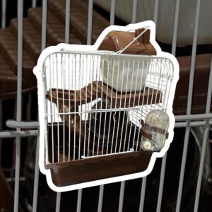 Gabbia per criceto con casetta