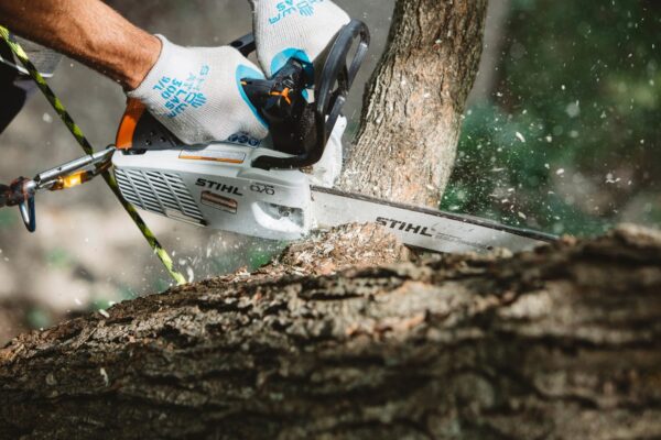 Stihl Motosega MS 194 T - immagine 2
