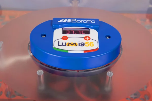 Incubatrice LUMIA 56 - immagine 4