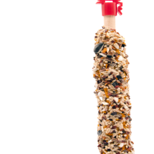 Sticks Parrocchetti di grande taglia con Mango e Rosa canina