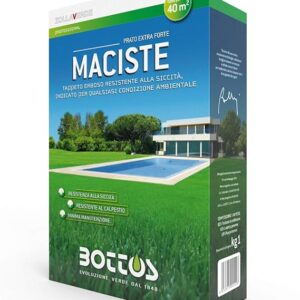 MACISTE 1kg