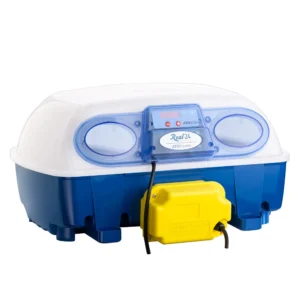 Incubatrice REAL 24 Automatica