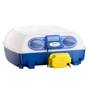 Incubatrice REAL 49 Automatica BREVETTATA – Professionale