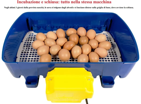 Incubatrice REAL 24 Automatica - immagine 2