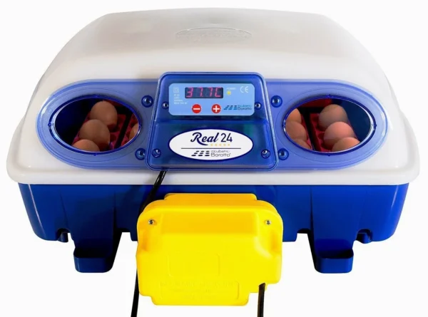 Incubatrice REAL 24 Automatica - immagine 4